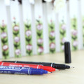 Farbenfroher dauerhafter Marker -Stift mit Dual -Tipps